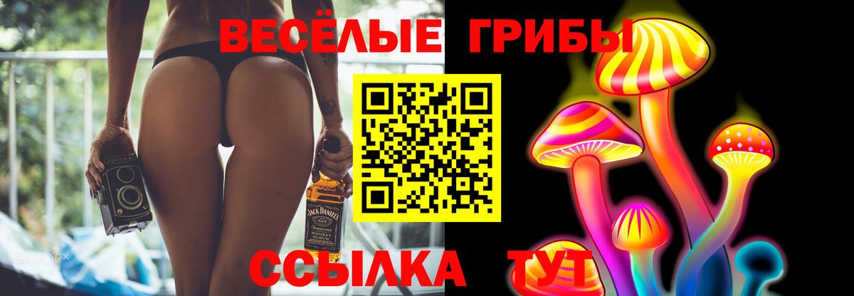 Лесосибирск  дарнет шоп  Вход с VPN  Псилоцибиновые грибы ЛСД 